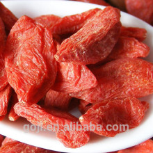 Baie de Goji de Non-GMO / baie organique superbe de catégorie de Goji à vendre